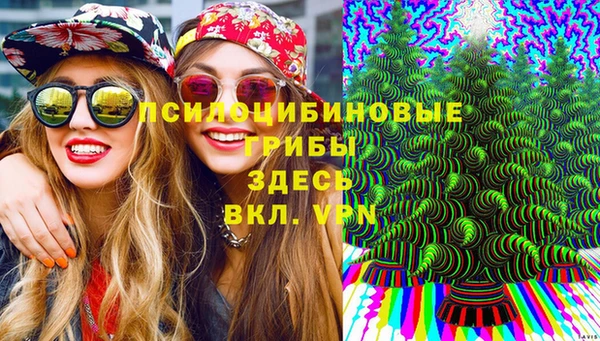 PSILOCYBIN Анива
