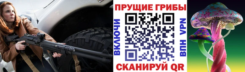 Псилоцибиновые грибы Psilocybine cubensis  Завитинск 
