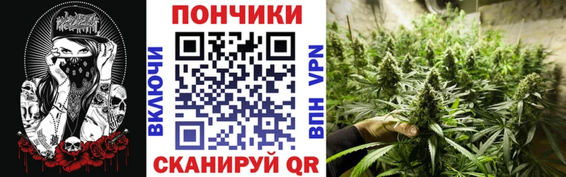 Канабис марихуана  мега как зайти  Завитинск  купить наркоту 